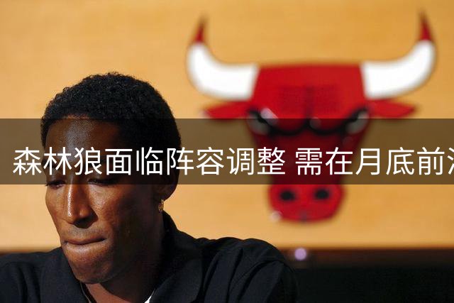 森林狼面临阵容调整 需在月底前清理薪资空间